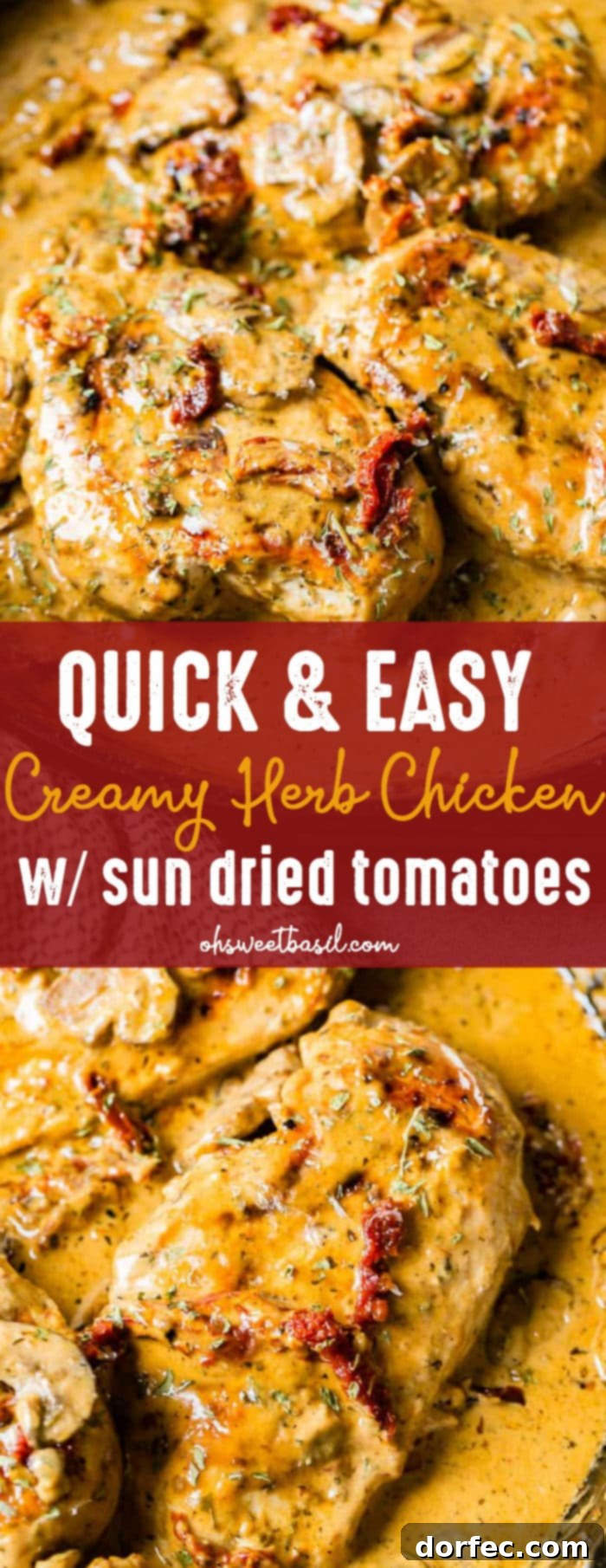 Effortless Creamy Herbed Chicken with Sun-Dried Tomatoes 8 A black cast iron skillet with a creamy sauce full of sun dried tomatoes, mushrooms and seasoning over perfectly cooked chicken