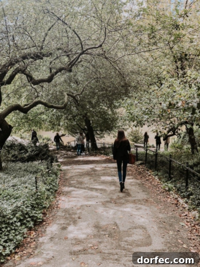central park path in new york city