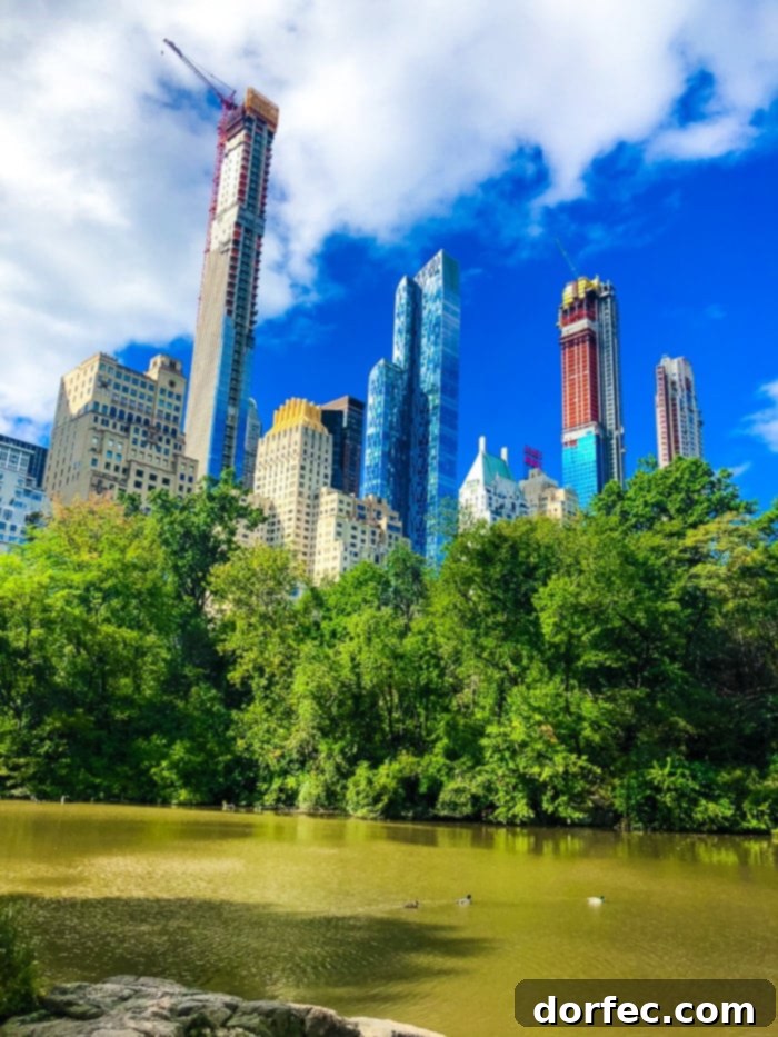 central park path in new york city