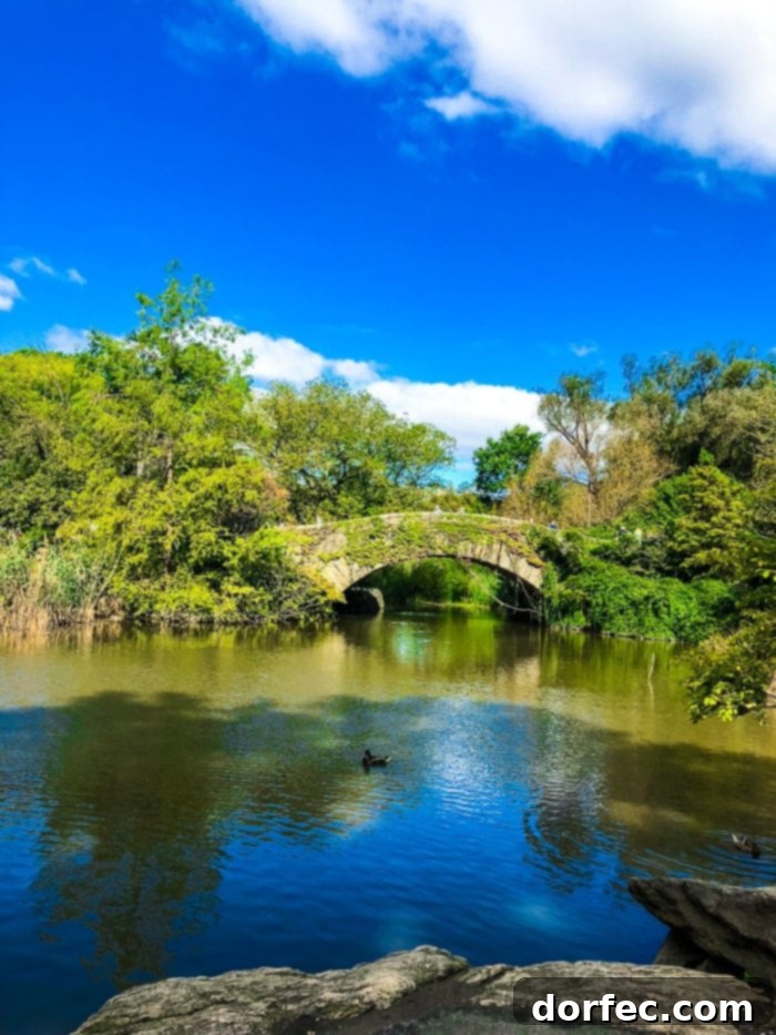 central park path in new york city