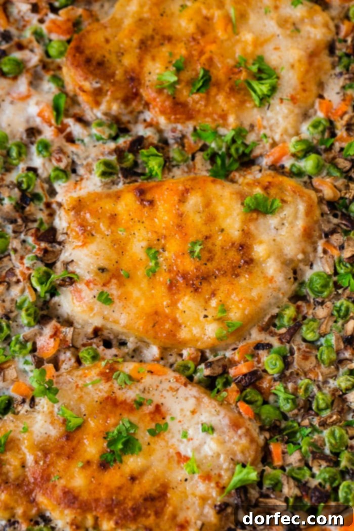 A close up photo of golden baked pork chops on a bed of rice and vegetables garnished with fresh parsley, highlighting the tender texture.
