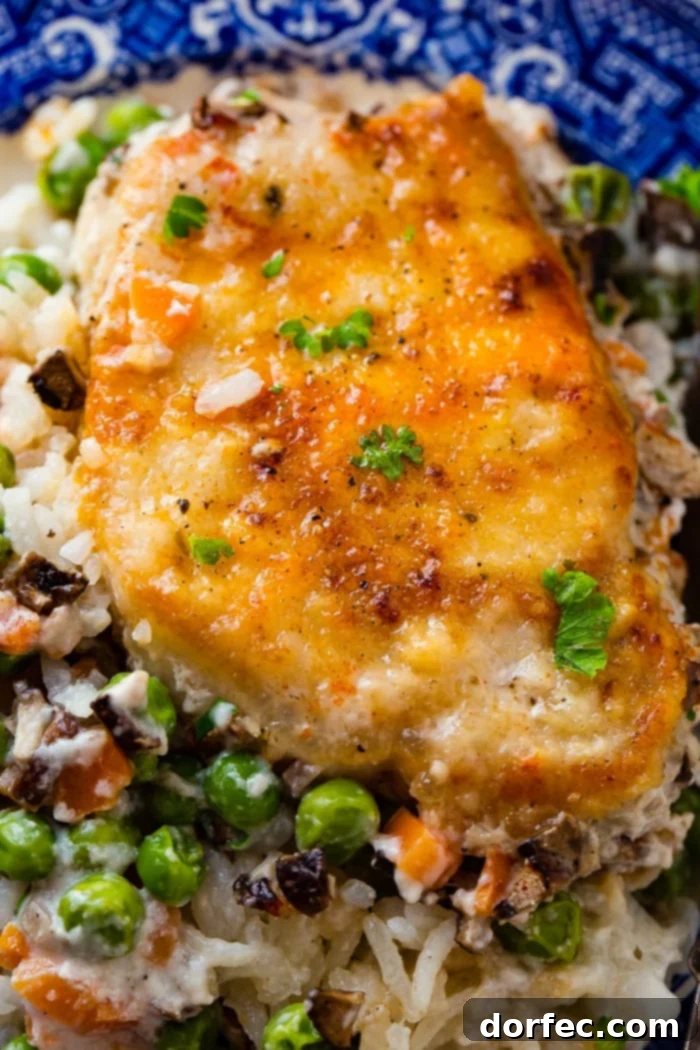 A photo of a golden baked pork chop on a bed of rice and vegetables all served on a blue plate garnished with fresh parsley, showing the rich flavors.