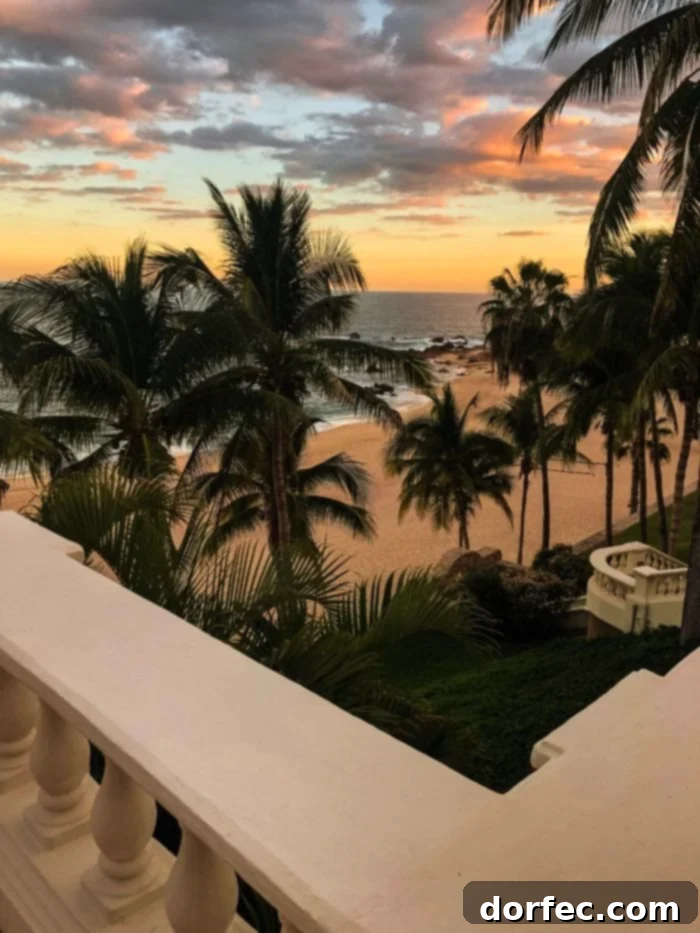 A stunning sunset over a pristine beach with silhouetted palm trees in San Jose del Cabo, Mexico