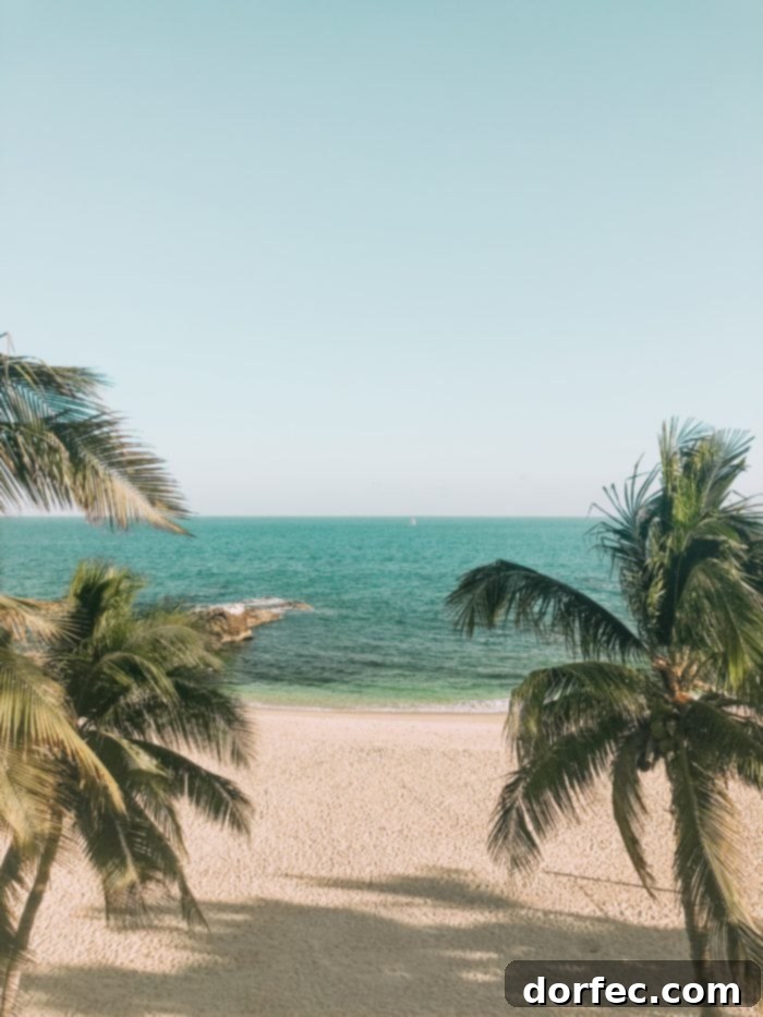A panoramic shot of Casa Mariposa's exterior, highlighting its impressive size and beautiful landscaping against the Mexican sky and coastal scenery.