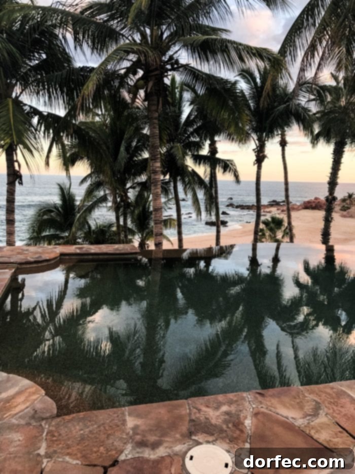 A stunning infinity pool overlooking a vibrant beach and swaying palm trees in San Jose del Cabo, Mexico, promising ultimate relaxation and panoramic ocean views.