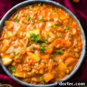 Quick and Easy Ground Beef Stew