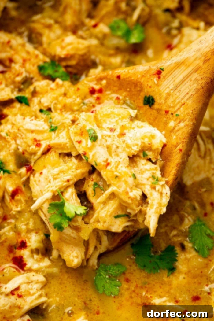 Sweet and Savory Pineapple Mexican Shredded Chicken Instant Pot or Slow Cooker 4 A serving of the delicious slow cooker pineapple Mexican shredded chicken, garnished and ready to be enjoyed
