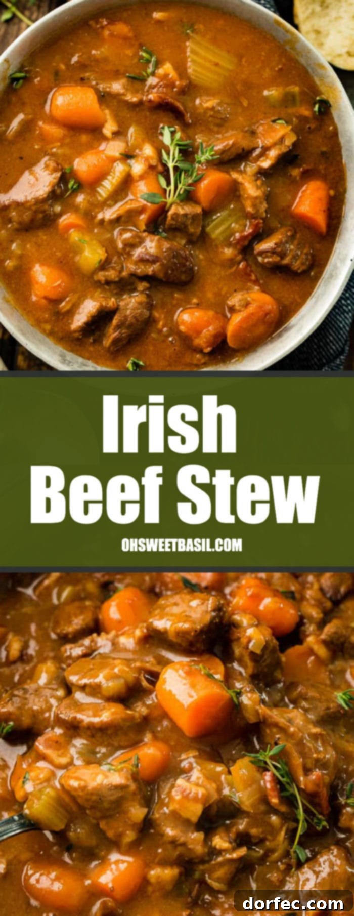 A bowl of Irish Beef Stew, steaming hot and ready to serve, featuring tender beef, carrots, and celery in a rich, savory gravy.