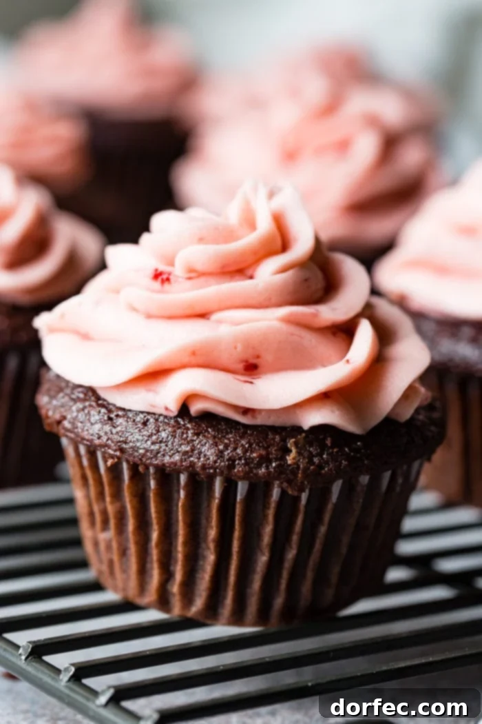 Choco-Berry Nutella Bliss Cupcakes 3 An overhead close-up shot of a single Nutella-filled chocolate cupcake adorned with a delicate swirl of pink strawberry buttercream frosting, placed on a pastel pink plate.
