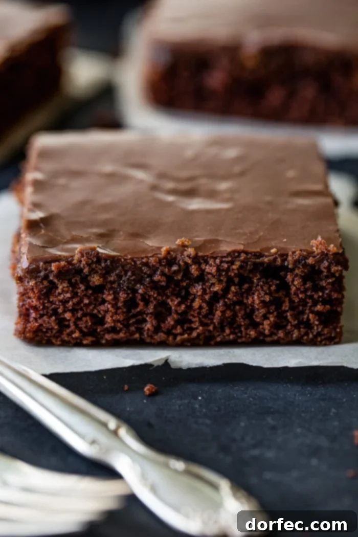 My mom's chocolate Texas sheet cake is probably the classic chocolate sheet cake recipe you grew with, but in case you lost it, here it is along with a cooked chocolate frosting! ohsweetbasil.com