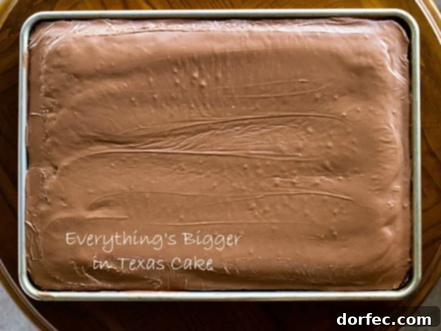 A photo of a whole sheet pan of frosted chocolate Texas sheet cake.