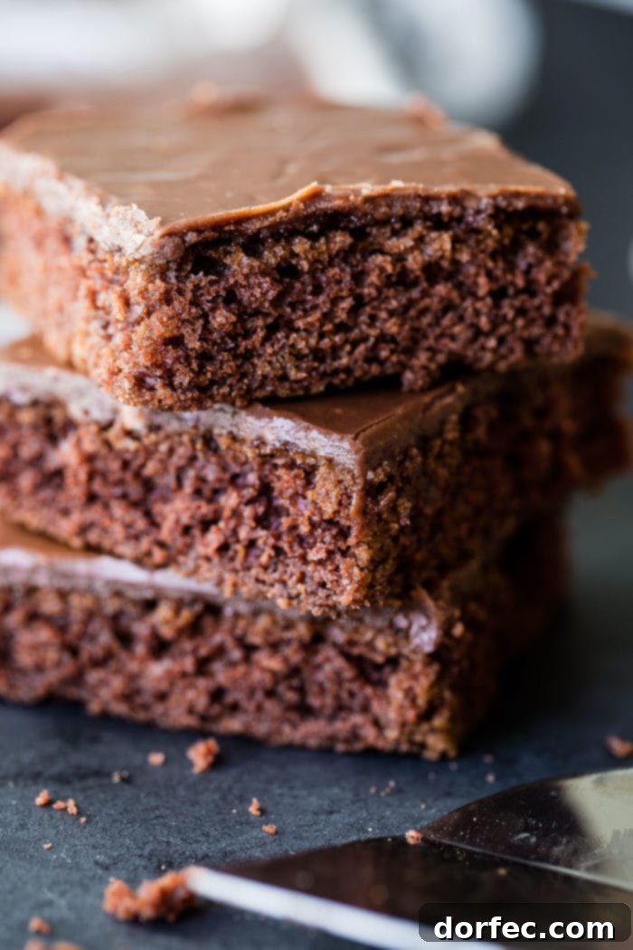 The classic chocolate Texas sheet cake with a cooked chocolate frosting ohsweetbasil.com