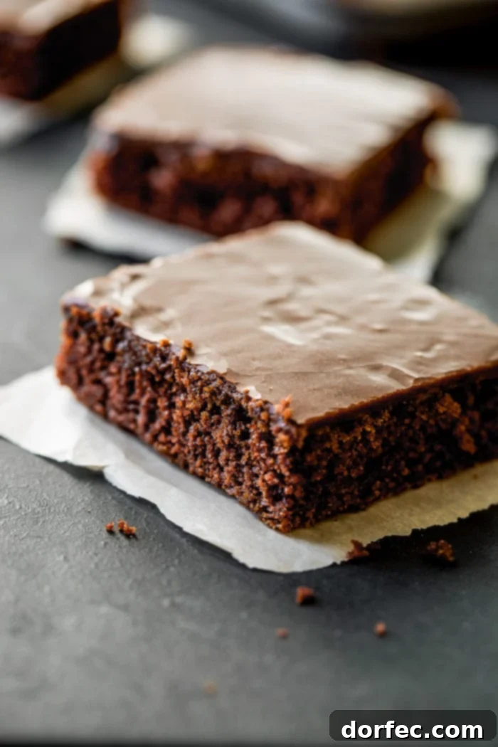 The classic chocolate Texas sheet cake with a cooked chocolate frosting ohsweetbasil.com