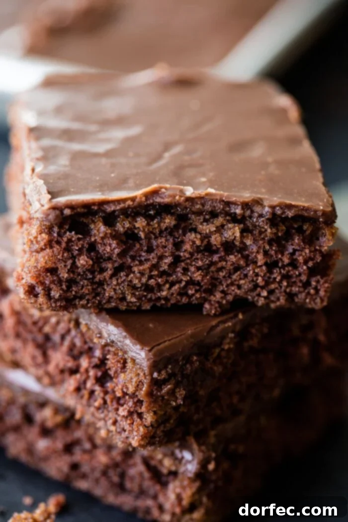 The classic chocolate Texas sheet cake with a cooked chocolate frosting ohsweetbasil.com
