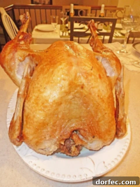 Interior of electric turkey fryer with basket