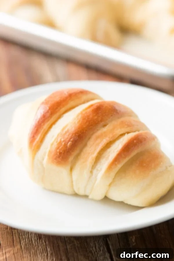 Delicious Potato Rolls: A Baker's Guide 3 Perfectly golden-brown potato rolls, renowned as the best no-knead recipe for any occasion.