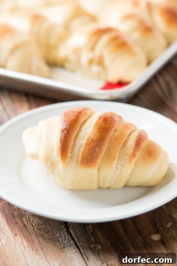Delicious Potato Rolls: A Baker's Guide 5 Freshly baked potato rolls, a highly requested no-knead recipe that guarantees the best flavor and texture.