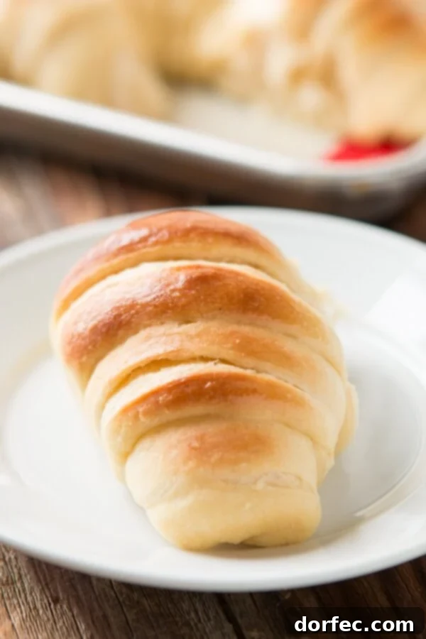 Delicious Potato Rolls: A Baker's Guide 6 A tray of warm, buttery no-knead potato rolls, the ultimate side dish.