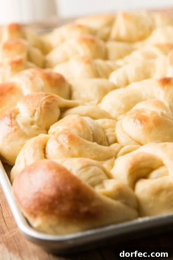 Delicious Potato Rolls: A Baker's Guide 7 Basket of warm, fluffy no-knead potato rolls, perfect for any meal.