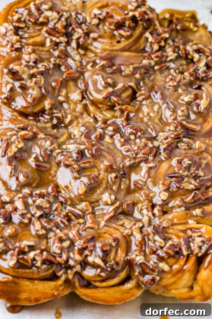 Caramel Pecan Sticky Buns 4 A photo of a dozen sticky buns coated in caramel glaze and chopped pecans.