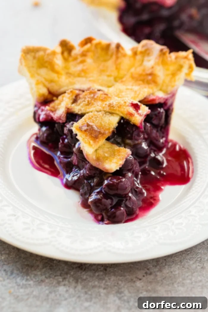 Effortless Blueberry Pie 2 A photo of a slice of blueberry pie on a white plate, showcasing its vibrant purple filling and golden crust.