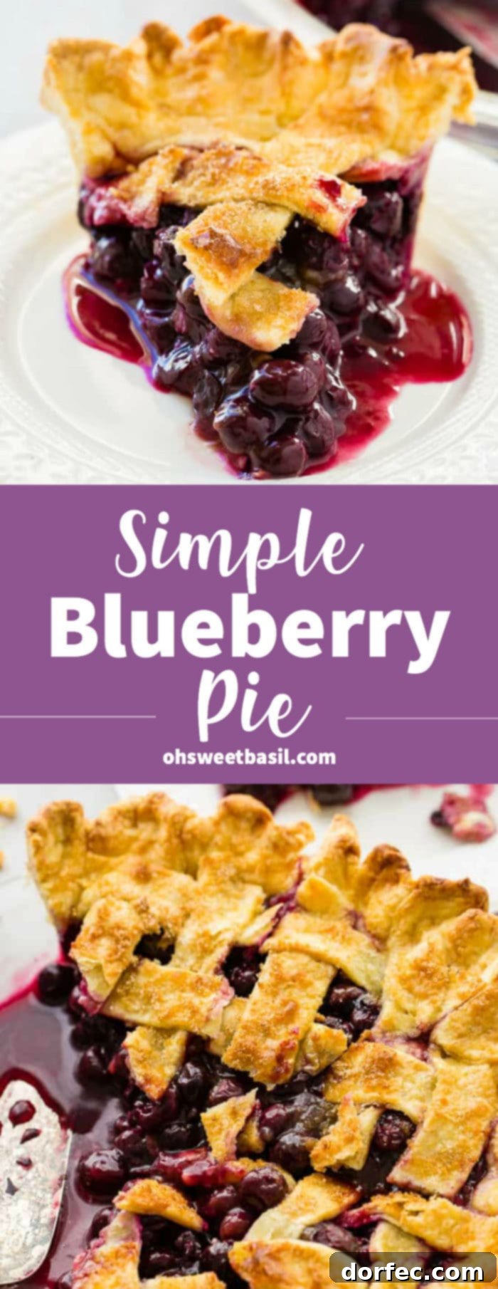 Effortless Blueberry Pie 12 A photo of a slice of blueberry pie on a white plate with a fork, emphasizing the rich purple filling and golden crust.