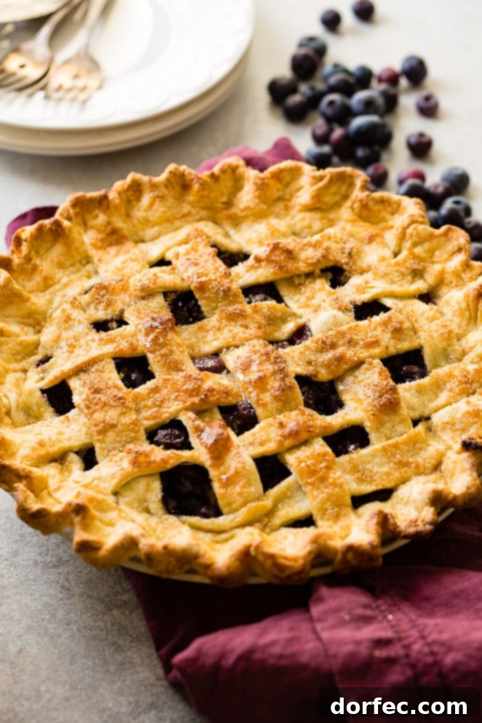 Effortless Blueberry Pie 6 A photo of a whole blueberry pie with a lattice top and golden crust, showcasing its inviting texture.
