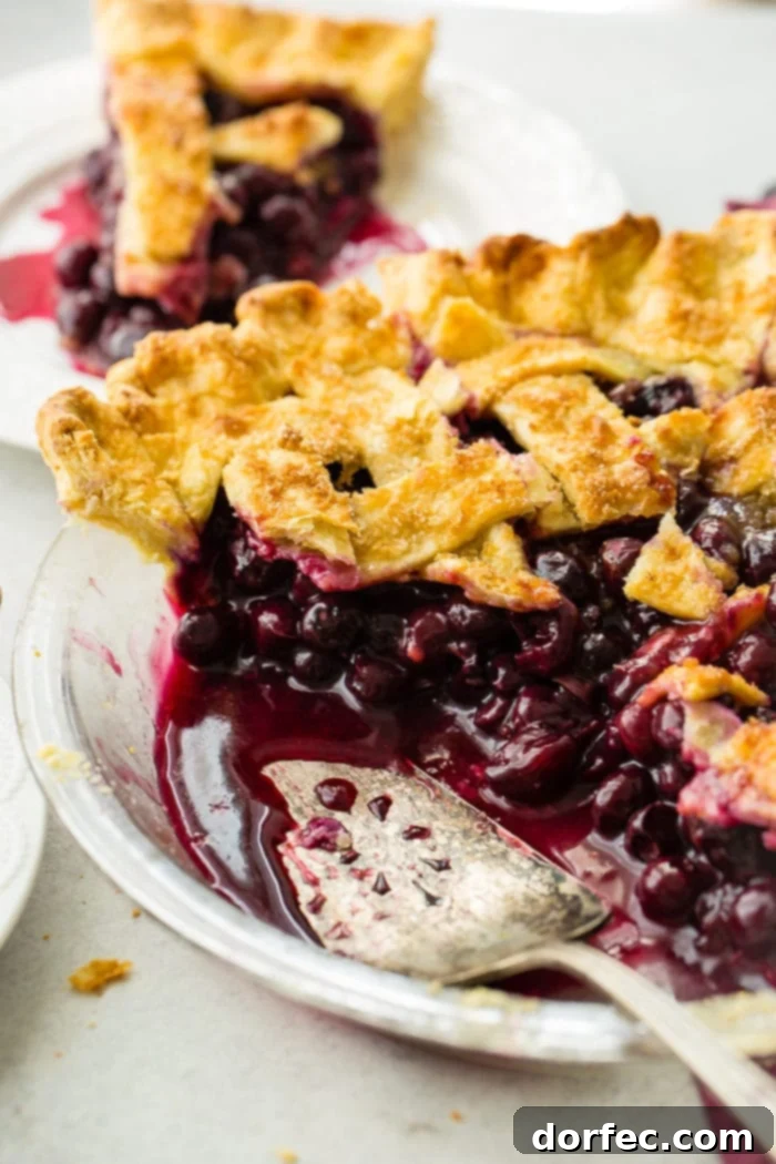 Effortless Blueberry Pie 7 A photo of a baked blueberry pie with a lattice top, with two slices removed, a pie server in the pan, highlighting the rich filling.