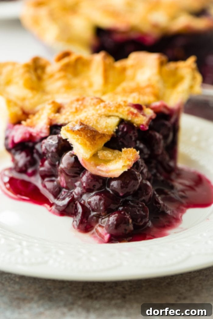 Effortless Blueberry Pie 8 A photo of a single slice of blueberry pie on a white plate, emphasizing the rich purple filling and golden crust.