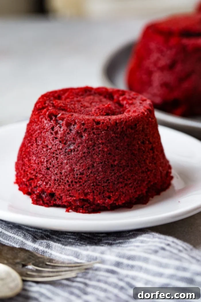 A photo of a red velvet molten lava cake sitting on a white plate.