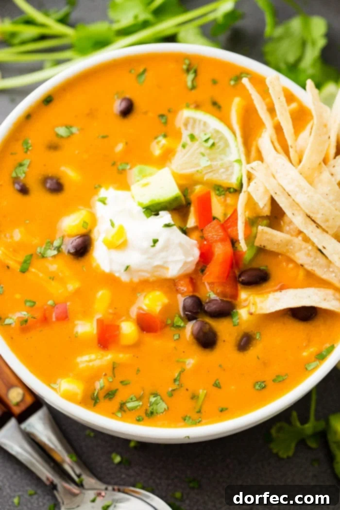 An aerial photo of a white bowl of chicken tortilla soup topped with sour cream, a lime wedge, and tortilla strips.
