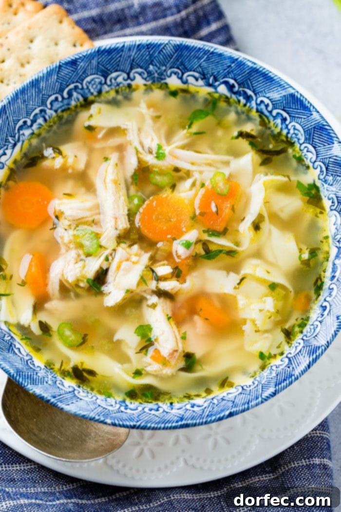 A photo of a bowl of instant pot chicken noodle soup full of carrots, chicken, pasta, and herbs.