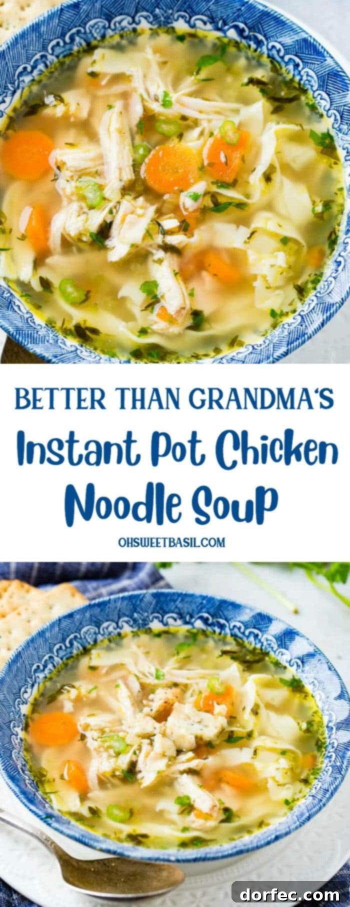 I mean, I don't know your Grandma or her soup, but after years of disappointing chicken noodle soups this Instant Pot Chicken Noodle Soup is worthy of the blog!
