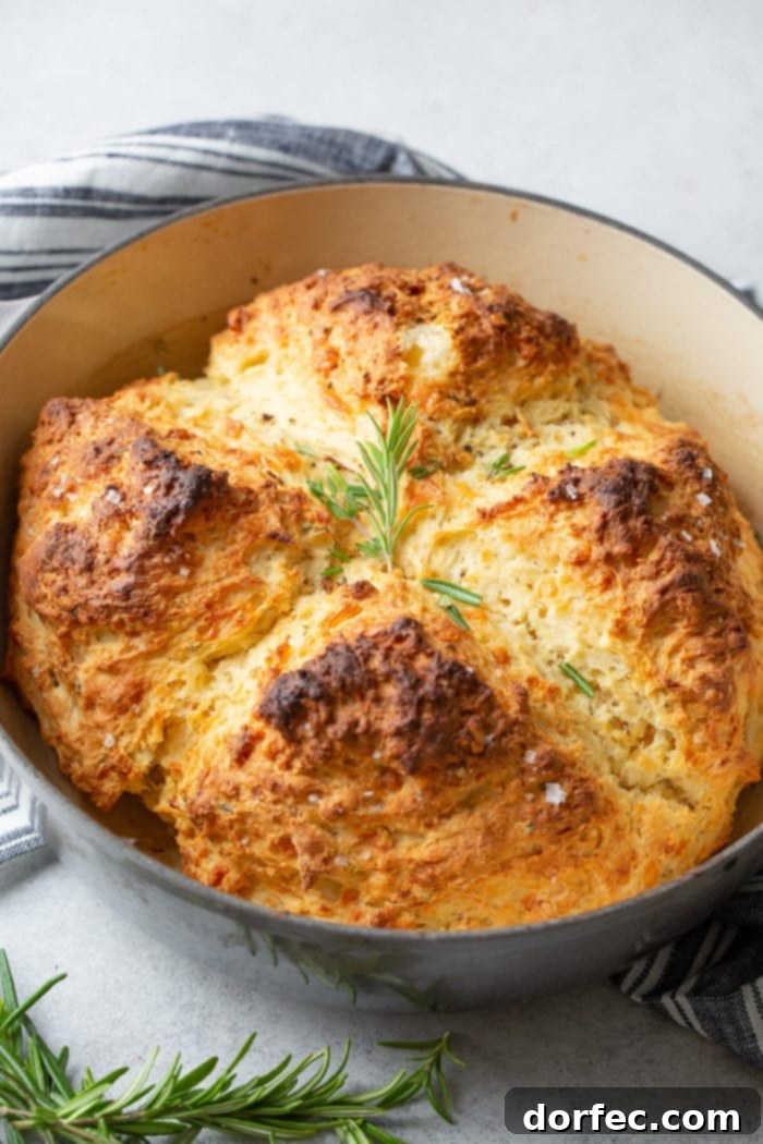 Savory Garlic Cheddar Herb Irish Soda Bread 5 A whole loaf of garlic cheddar herb irish soda bread nestled in a Dutch oven and garnished with sprigs of fresh rosemary, ready to be served.