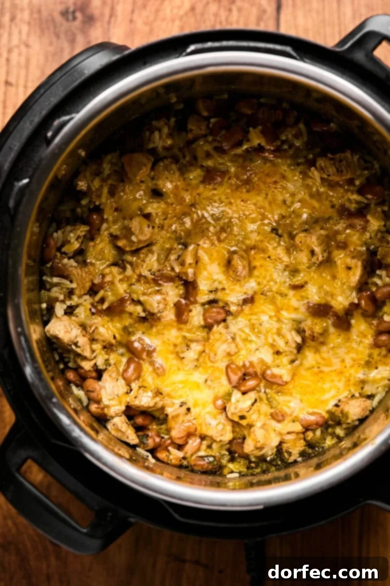 Flavor-Packed Instant Pot Cilantro Lime Chicken Burrito Bowls 11 Melted Colby Jack cheese topping the hot cilantro lime chicken burrito bowl mixture in the Instant Pot, creating a gooey layer.