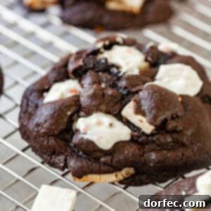 A close-up of a finished Chocolate Peppermint Cookie with white frosting and candy cane sprinkles.
