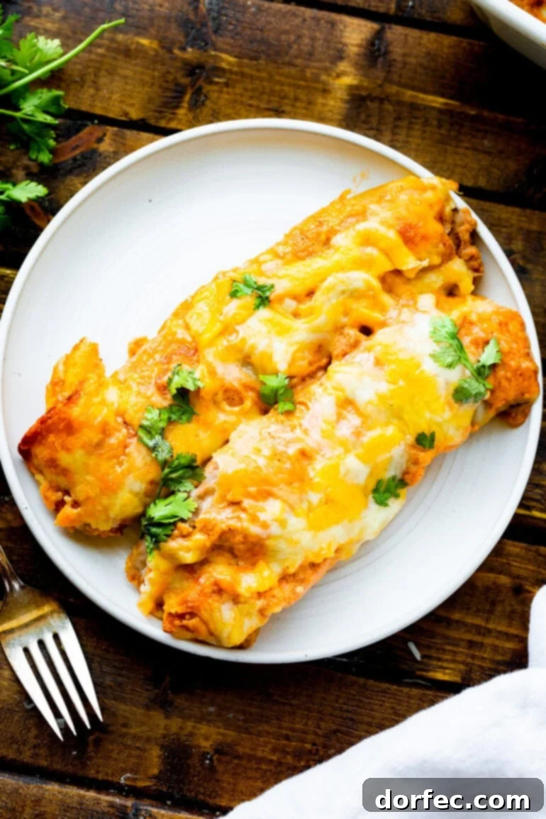 a photo of two bean and cheese enchiladas smothered in melty cheese on a white dinner plate