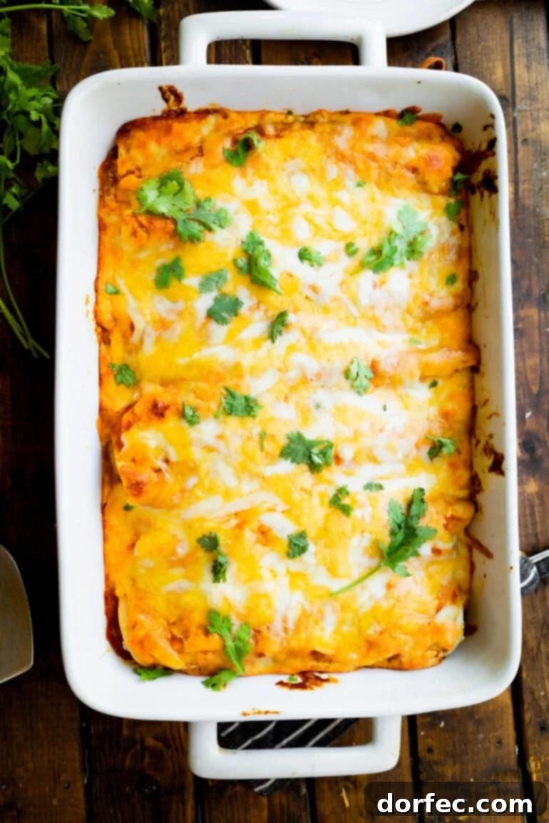 a photo of a full 9x13 baking dish full of baked bean and cheese enchiladas topped with melted cheese and chopped cilantro