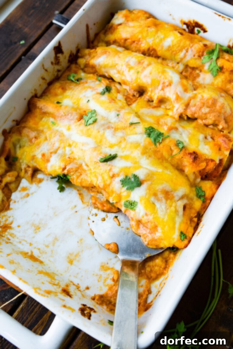 a photo of a baking dish of baked bean and cheese enchiladas with a couple of enchiladas removed