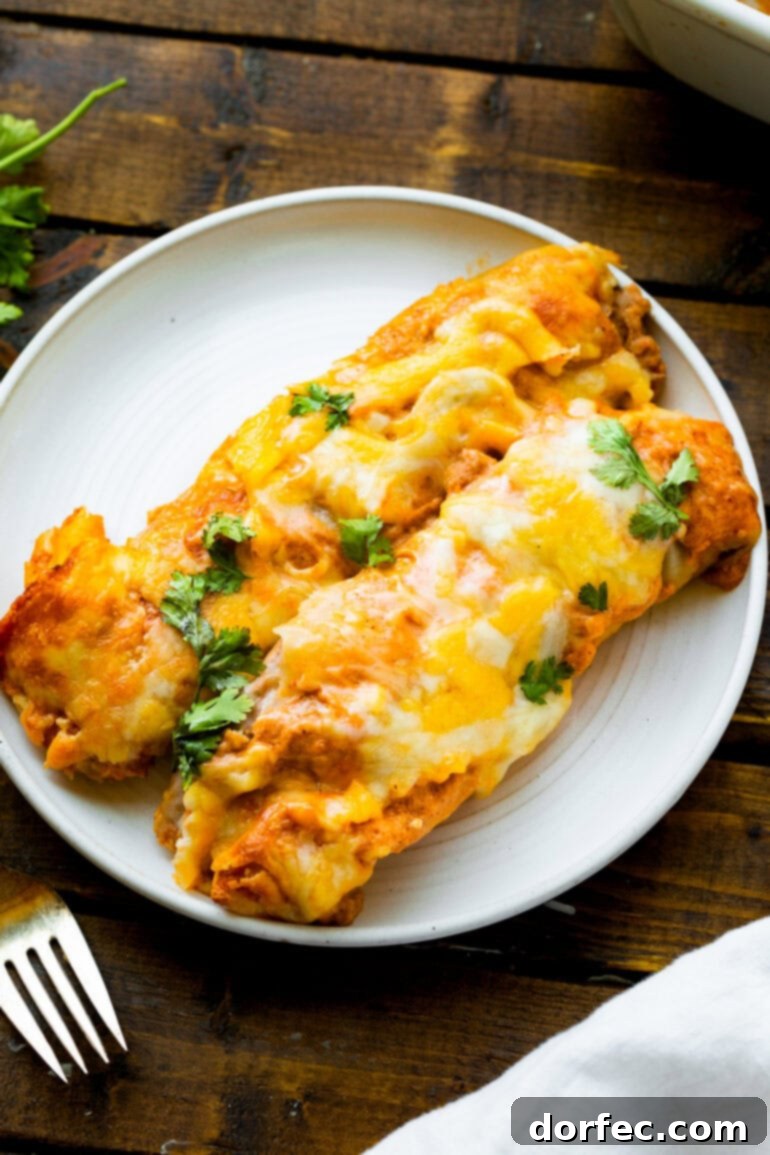 a photo of two bean and cheese enchiladas sitting on a white dinner plate