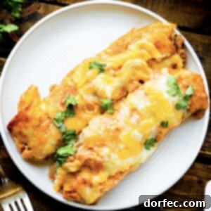 Delicious Bean and Cheese Enchiladas