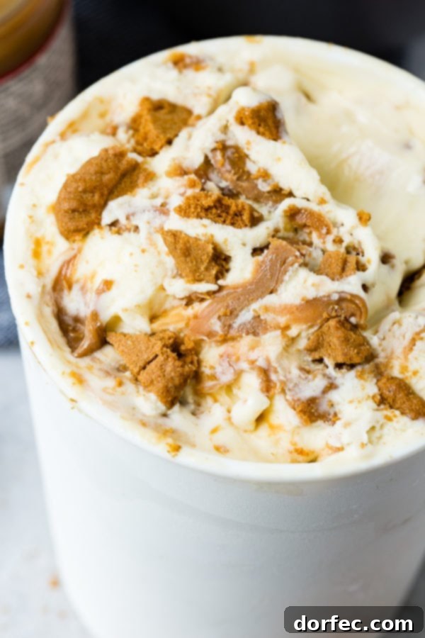 A container filled with freshly made Biscoff cookie butter homemade ice cream.
