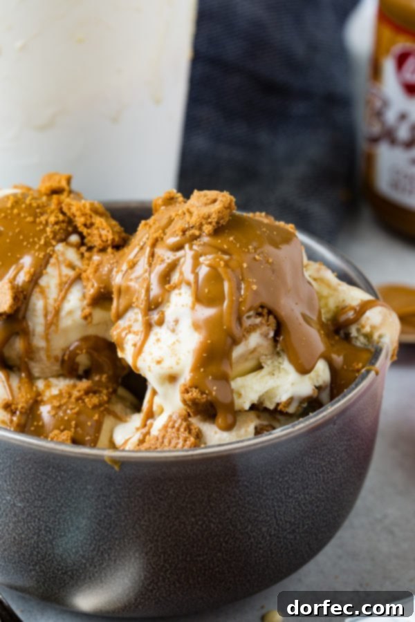 Several scoops of Biscoff cookie butter homemade ice cream in a dark gray bowl, beautifully garnished with cookie crumbles and melted cookie butter.