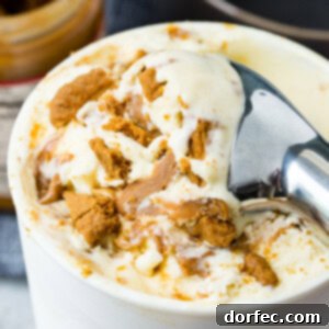 Biscoff cookie butter homemade ice cream in a dark gray bowl with cookie crumbles and melted cookie butter on top.