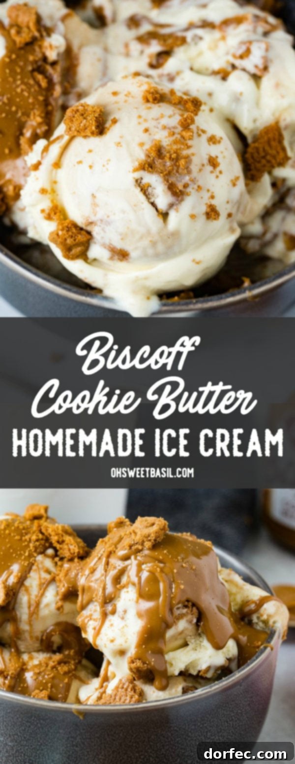 Several scoops of Biscoff cookie butter homemade ice cream in a dark gray bowl, generously topped with cookie crumbles.