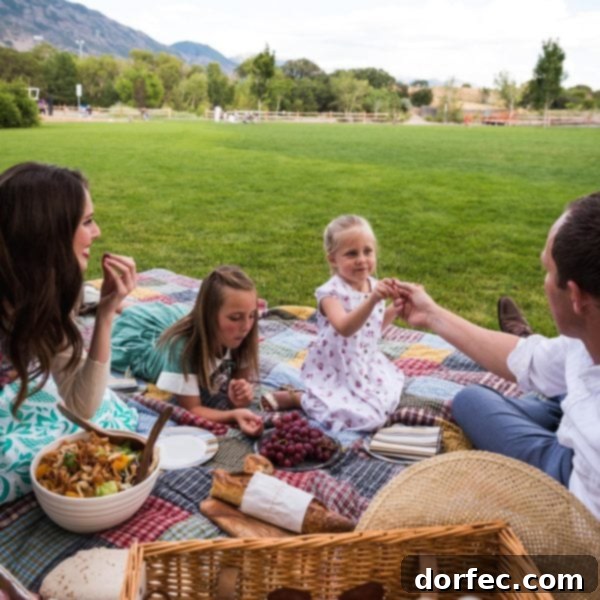 A photo of our family having a picnic.