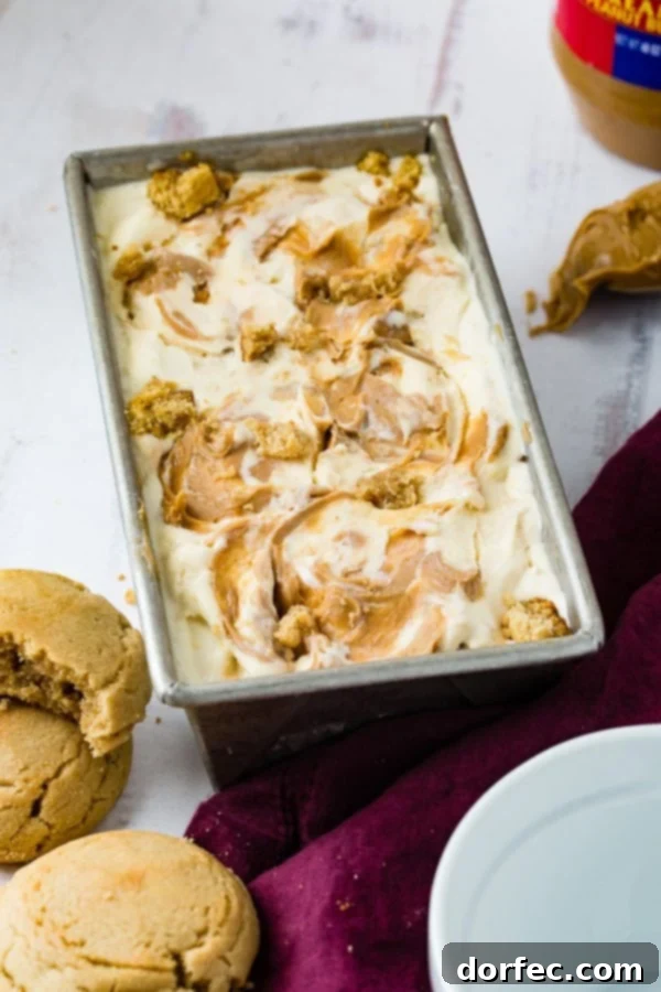 A pan of homemade peanut butter cookie ice cream drizzled with creamy peanut butter on top and full of cookie chunks.