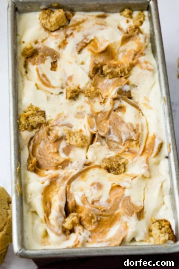A pan of homemade peanut butter cookie ice cream drizzled with creamy peanut butter on top and full of cookie chunks.