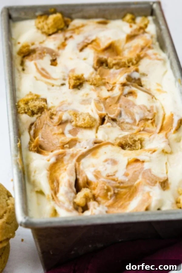 A pan of homemade peanut butter cookie ice cream drizzled with creamy peanut butter on top and full of cookie chunks.