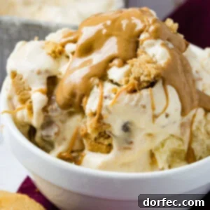 A bowl of homemade peanut butter cookie ice cream drizzled with creamy peanut butter on top and full of cookie chunks.